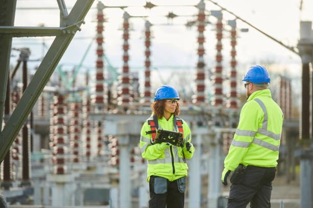 Best Generator Installation Services  in Mledgevle, IL